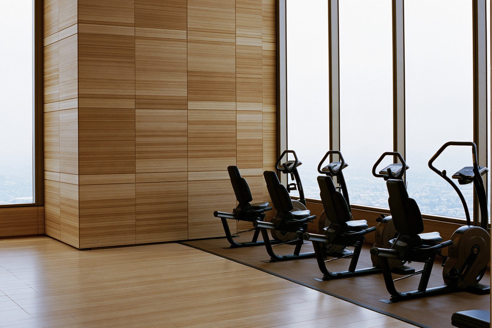 Fitness