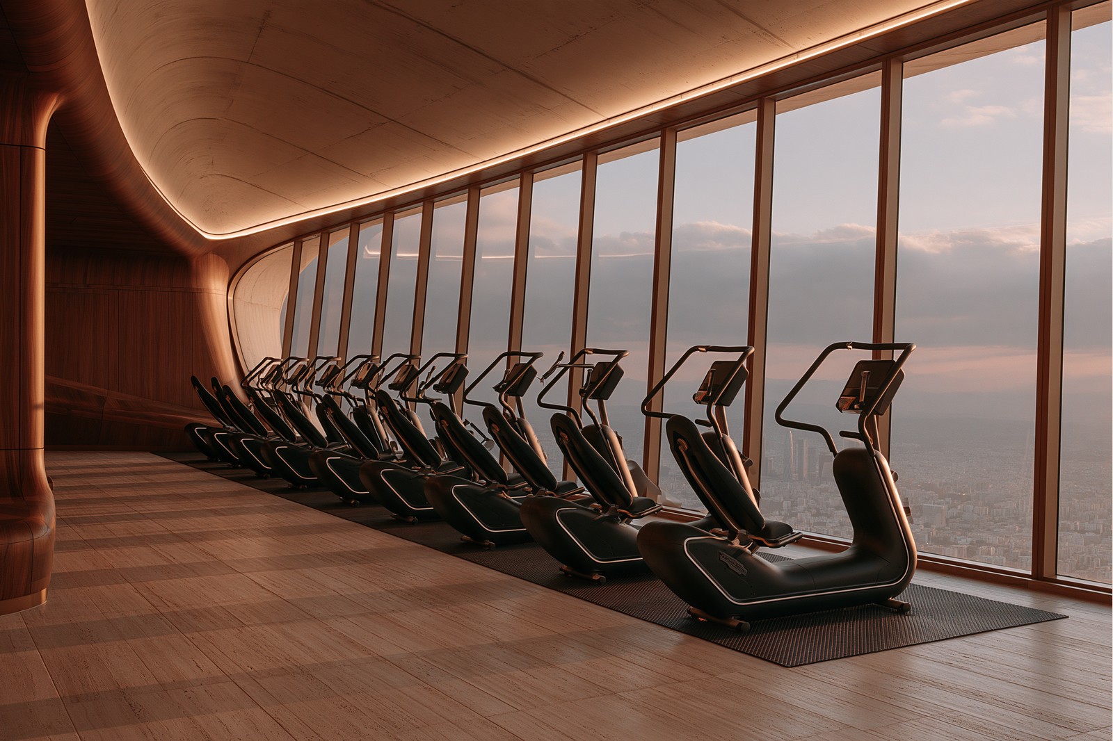 Fitness